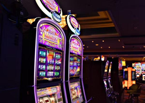 Akses mudah permainan Bingo dan sportsbook di platform lusa77